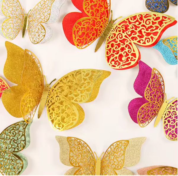 Colorful Butterfly’s