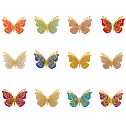 Colorful Butterfly’s