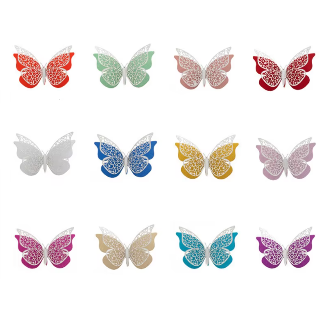 Colorful Butterfly’s
