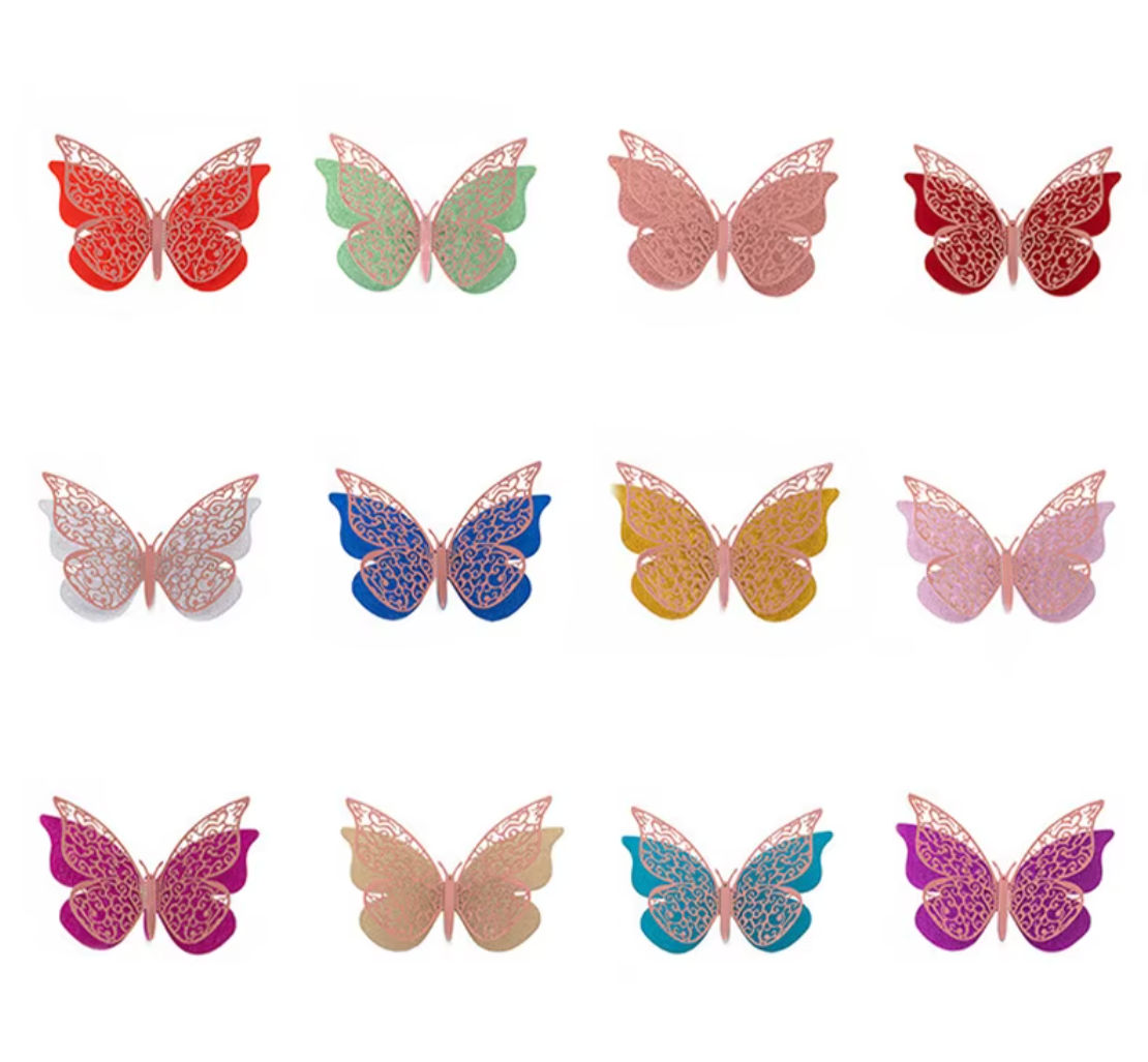 Colorful Butterfly’s