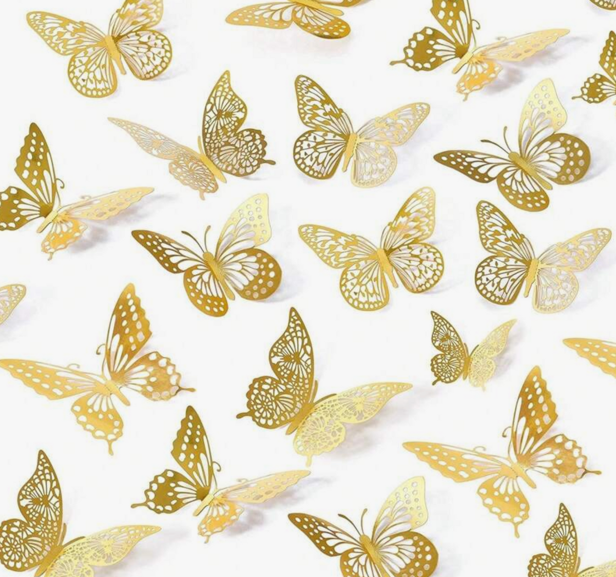 Reflective Butterfly's